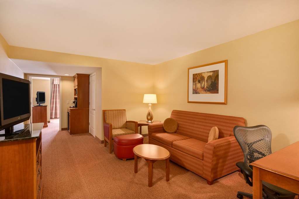 Hilton Garden Inn Mcallen Airport Bilik gambar