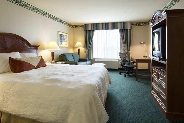 Hilton Garden Inn Mcallen Airport Bilik gambar